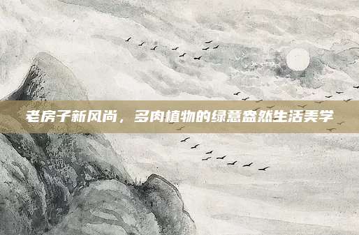 老房子新风尚，多肉植物的绿意盎然生活美学