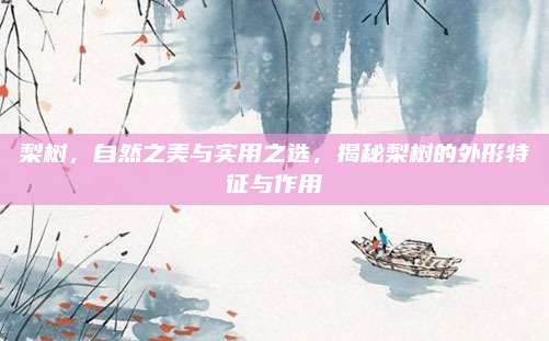梨树，自然之美与实用之选，揭秘梨树的外形特征与作用