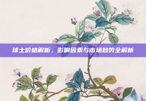 球土价格解析，影响因素与市场趋势全解析
