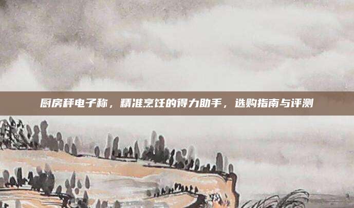 厨房秤电子称，精准烹饪的得力助手，选购指南与评测