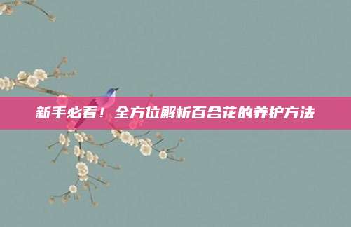新手必看！全方位解析百合花的养护方法