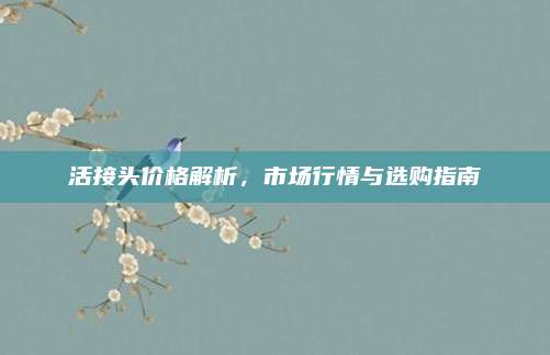 活接头价格解析，市场行情与选购指南