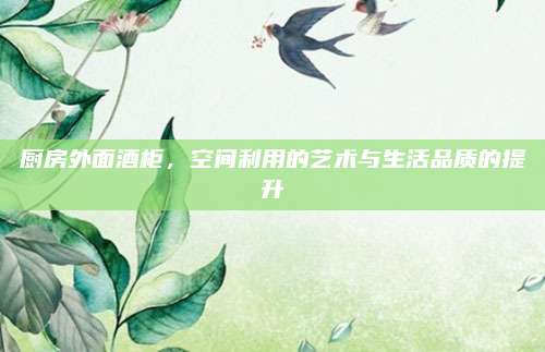 厨房外面酒柜，空间利用的艺术与生活品质的提升