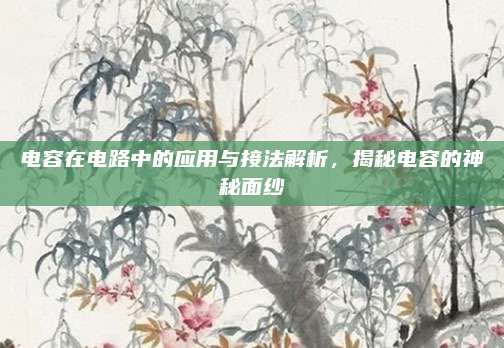 电容在电路中的应用与接法解析，揭秘电容的神秘面纱