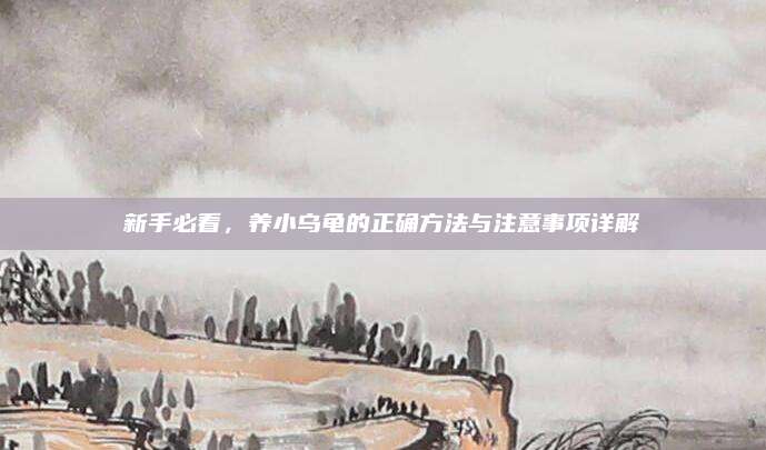 新手必看，养小乌龟的正确方法与注意事项详解