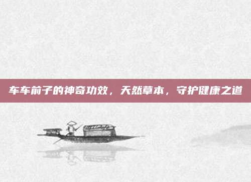 车车前子的神奇功效，天然草本，守护健康之道