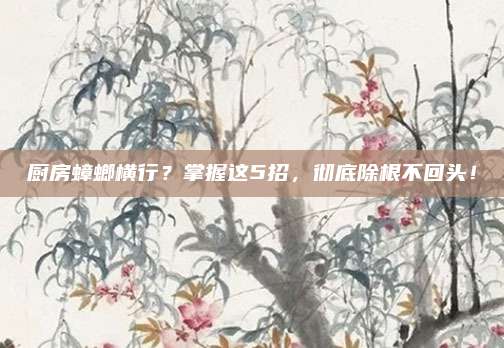 厨房蟑螂横行？掌握这5招，彻底除根不回头！