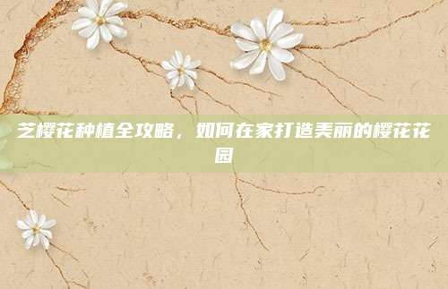 芝樱花种植全攻略，如何在家打造美丽的樱花花园