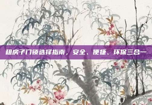 租房子门锁选择指南，安全、便捷、环保三合一