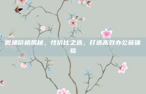 微梯价格揭秘，性价比之选，打造高效办公新体验