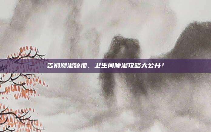 告别潮湿烦恼，卫生间除湿攻略大公开！