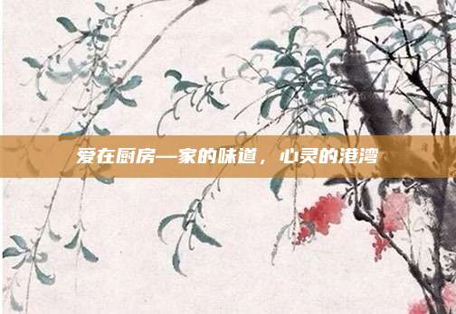 爱在厨房—家的味道，心灵的港湾