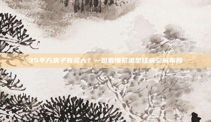 35平方房子有多大？一图看懂紧凑型住房空间布局