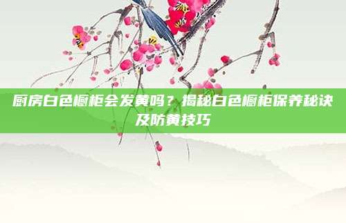 厨房白色橱柜会发黄吗？揭秘白色橱柜保养秘诀及防黄技巧