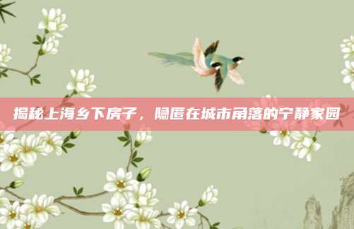 揭秘上海乡下房子，隐匿在城市角落的宁静家园