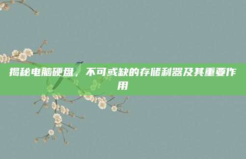 揭秘电脑硬盘，不可或缺的存储利器及其重要作用