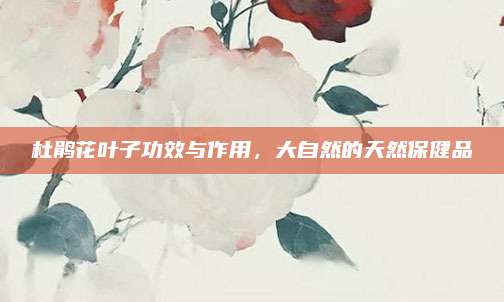 杜鹃花叶子功效与作用，大自然的天然保健品