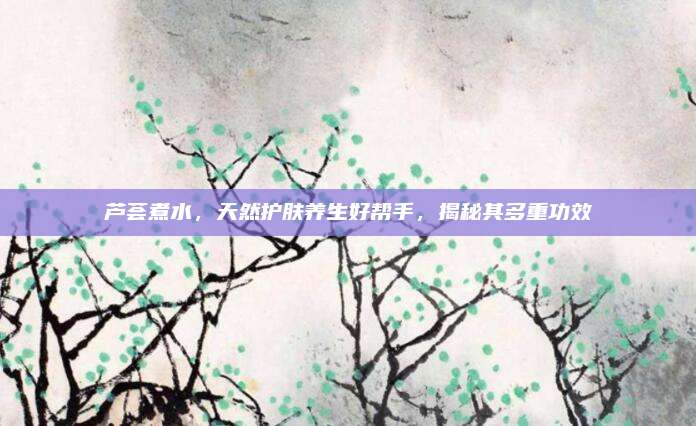 芦荟煮水，天然护肤养生好帮手，揭秘其多重功效