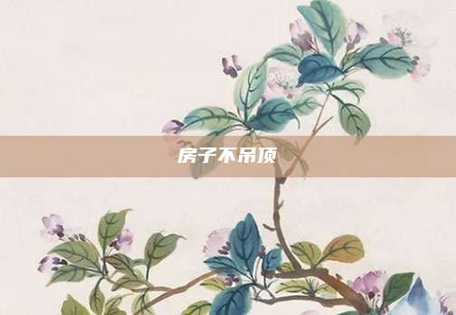 房子不吊顶