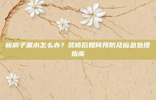 新房子漏水怎么办？装修后如何预防及应急处理指南