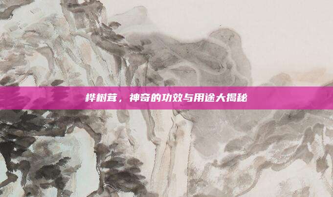 桦树茸，神奇的功效与用途大揭秘