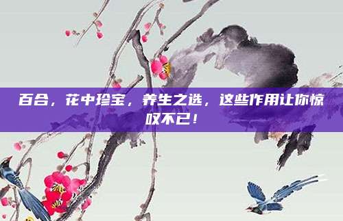 百合，花中珍宝，养生之选，这些作用让你惊叹不已！
