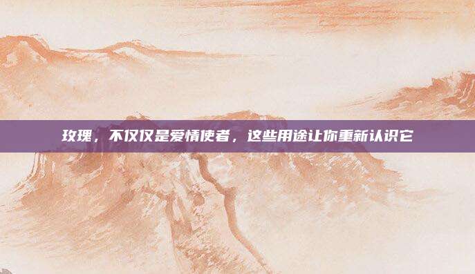 玫瑰，不仅仅是爱情使者，这些用途让你重新认识它