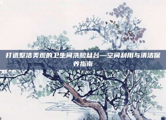 打造整洁美观的卫生间洗脸盆台—空间利用与清洁保养指南