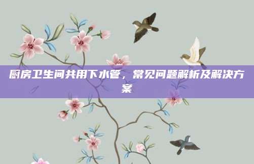 厨房卫生间共用下水管，常见问题解析及解决方案
