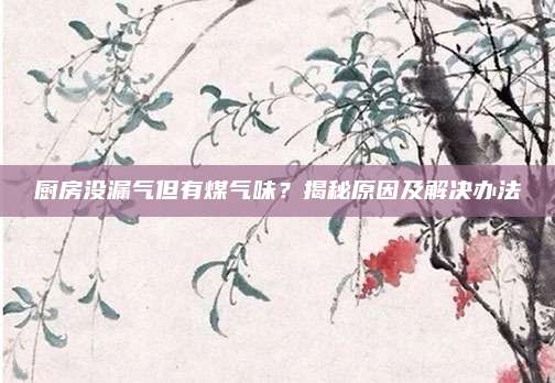 厨房没漏气但有煤气味？揭秘原因及解决办法