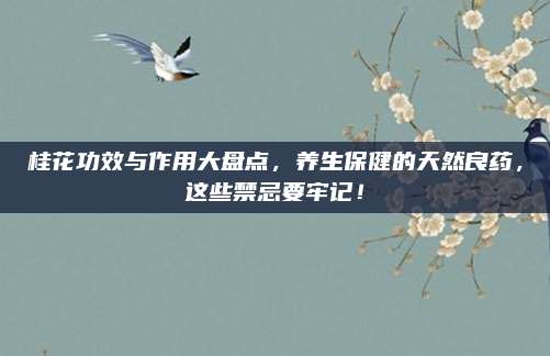 桂花功效与作用大盘点，养生保健的天然良药，这些禁忌要牢记！