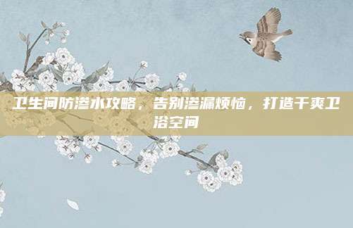 卫生间防渗水攻略，告别渗漏烦恼，打造干爽卫浴空间