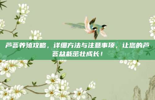 芦荟养殖攻略，详细方法与注意事项，让您的芦荟盆栽茁壮成长！