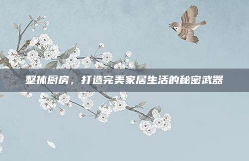 整体厨房，打造完美家居生活的秘密武器