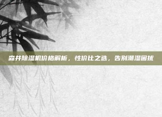 森井除湿机价格解析，性价比之选，告别潮湿困扰