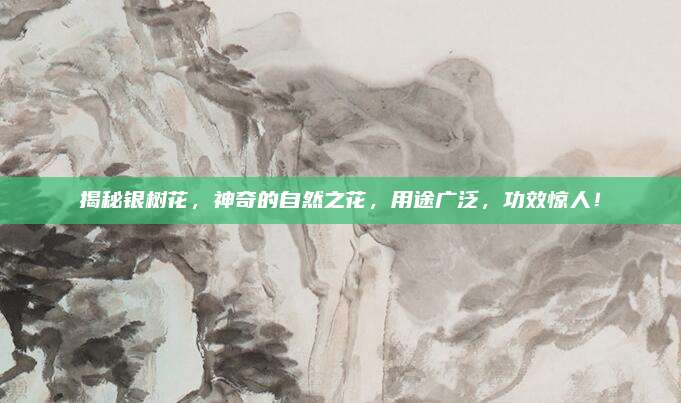 揭秘银树花，神奇的自然之花，用途广泛，功效惊人！