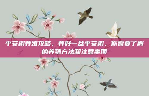 平安树养殖攻略，养好一盆平安树，你需要了解的养殖方法和注意事项