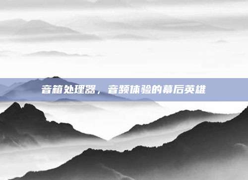 音箱处理器，音频体验的幕后英雄