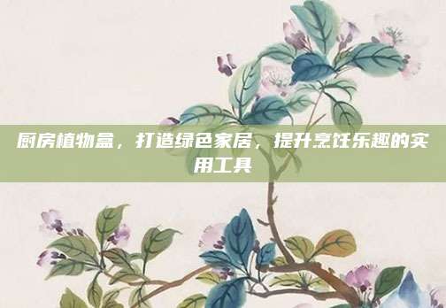 厨房植物盒，打造绿色家居，提升烹饪乐趣的实用工具