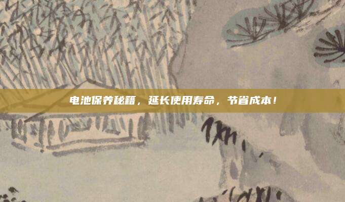 电池保养秘籍，延长使用寿命，节省成本！