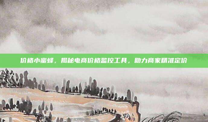 价格小蜜蜂，揭秘电商价格监控工具，助力商家精准定价