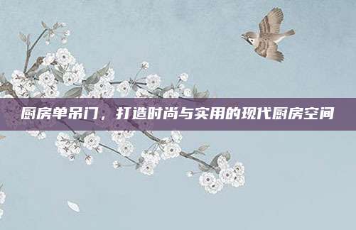 厨房单吊门，打造时尚与实用的现代厨房空间