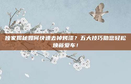 独家揭秘如何快速去掉烤漆？五大技巧助您轻松焕新爱车！