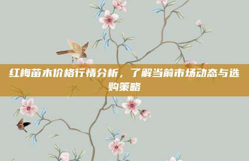 红梅苗木价格行情分析，了解当前市场动态与选购策略