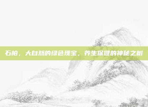 石柏，大自然的绿色瑰宝，养生保健的神秘之树