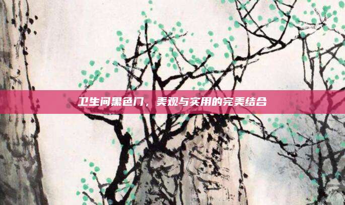 卫生间黑色门，美观与实用的完美结合