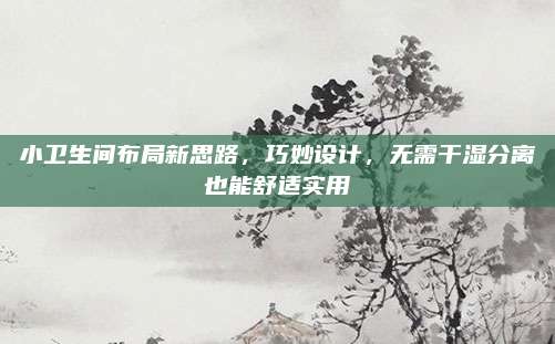 小卫生间布局新思路，巧妙设计，无需干湿分离也能舒适实用