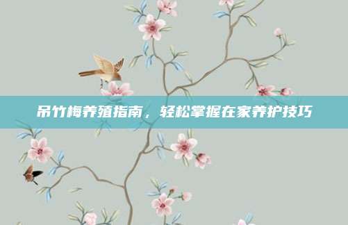 吊竹梅养殖指南，轻松掌握在家养护技巧