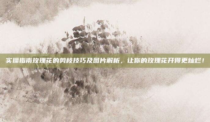实操指南玫瑰花的剪枝技巧及图片解析，让你的玫瑰花开得更灿烂！