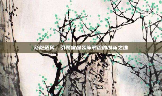 新陀瓷砖，引领家居装饰潮流的创新之选